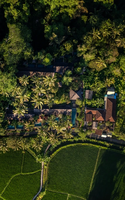 Ubud Wellness & Spa at Ubud Padi Villas